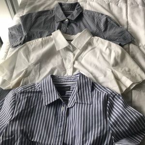 3 Pack Dress shirts (Petite Covington Essentials)